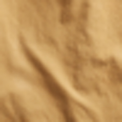 Rl 169 Desert Tan