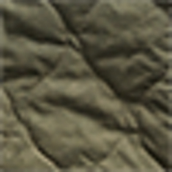RL 174 Blackened Olive