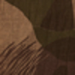 Olive Multi