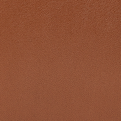 Saddle