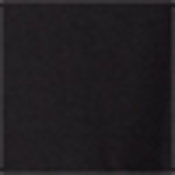 Polo Black
