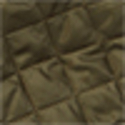 Company Olive