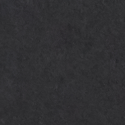 Polo Black