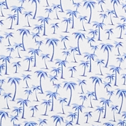 White And Blue