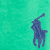Stem