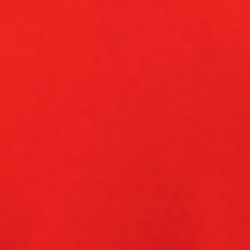 RL 2000 Red