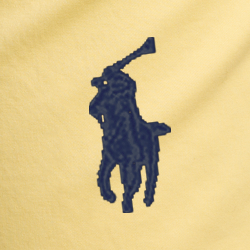 Corn Yellow
