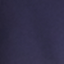 Cruise Navy