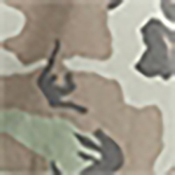 Weathered Surplus Camo
