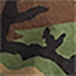 Surplus Camo