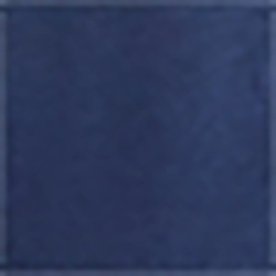 Cruise Navy