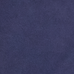 Cruise Navy