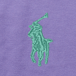 Cactus Purple
