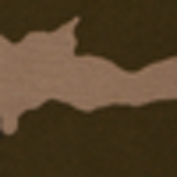 Surplus Camo