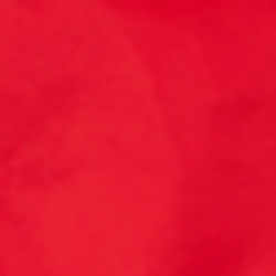 RL 2000 Red