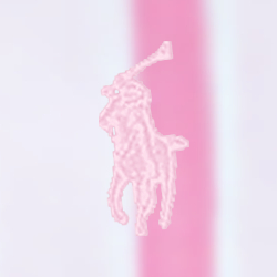 Baja Pink/White