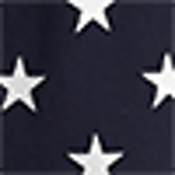 Aviator Navy