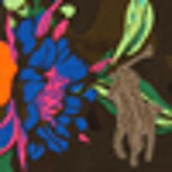 Camo