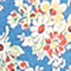 Blue Floral