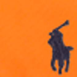 Shocking Orange