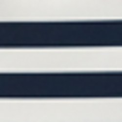 Navy Stripe