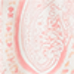 Pink/Coral Paisley