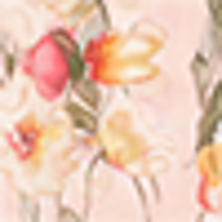Oxford Pink