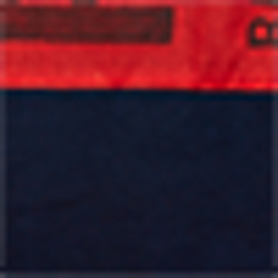 Cruise Navy