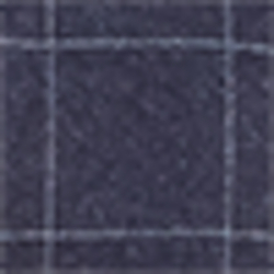 Navy/White