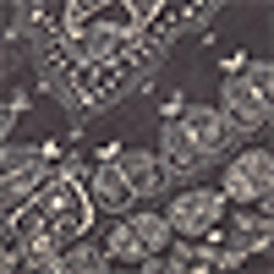 Black Cream