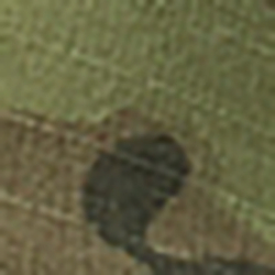 Lowland Camo