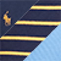Navy/Gold/Blue