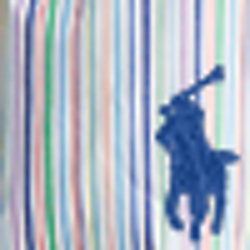 Park Stripe/Fall Royal