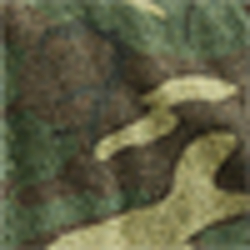 Woodland Camo