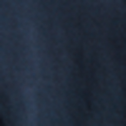 Dark Indigo