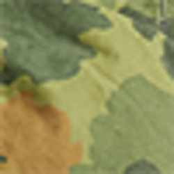 Faded Leaf Camo