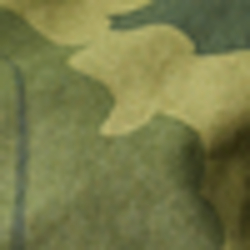 Leaf Camo