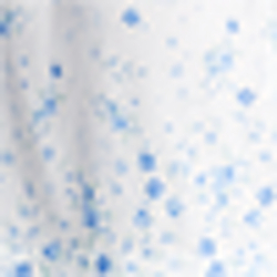 Ivory/Blue Floral