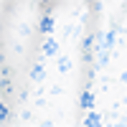 Ivory/Blue Floral