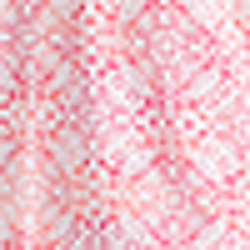 Pink/Coral Print