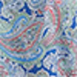 Multi Paisley