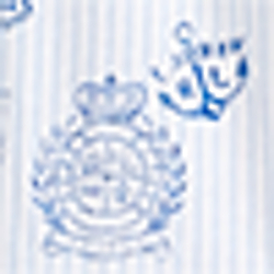 Logo/Stripe