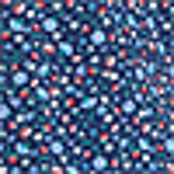 Navy Floral