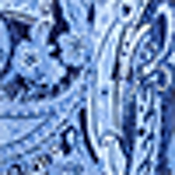Navy Paisley