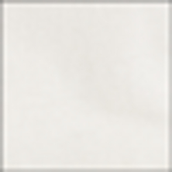 Surplus White