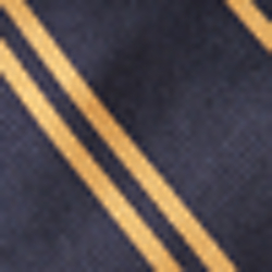 Navy/Gold