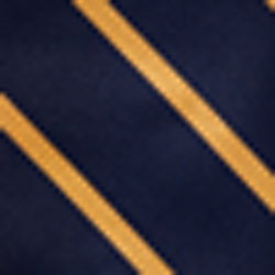 Navy/Gold