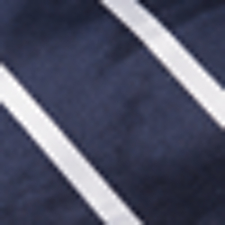 Navy/White