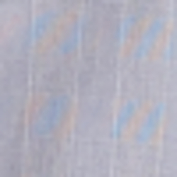 Blue/White