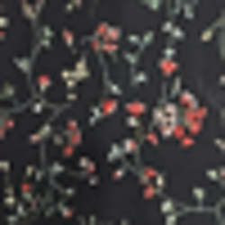 Polo Black Multi